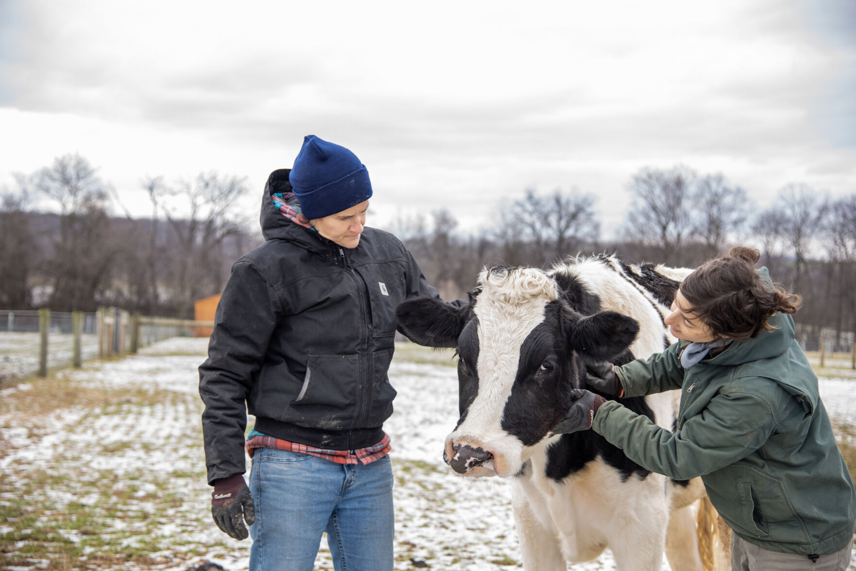 Lancaster Farm Sanctuary pen pal program connects classrooms to farm animals